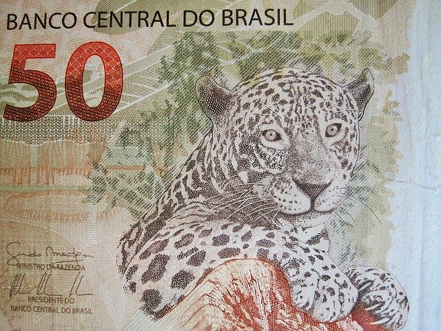 brazilian-currency-1139100_640